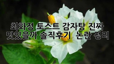 최화정 토스트 감자탕🥪🍲 진짜 맛있을까? 솔직후기 & 논란 정리!
