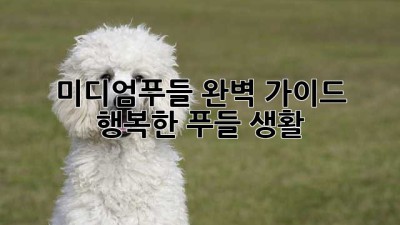 미디엄푸들: 완벽 가이드 & 행복한 푸들 생활